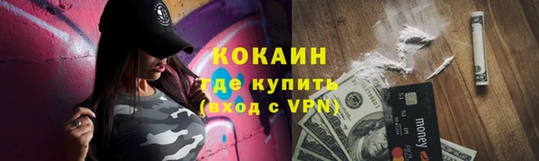 дживик Абаза