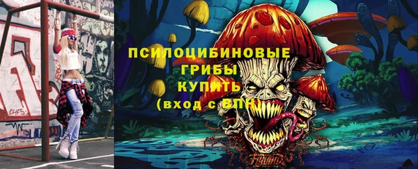 дживик Абаза