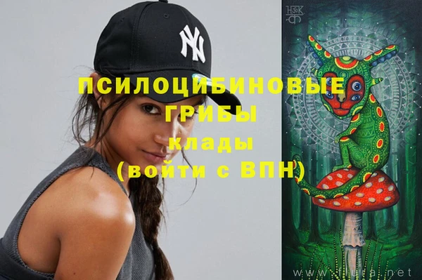 дживик Абаза